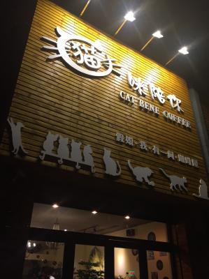 catcafe-6.jpg
